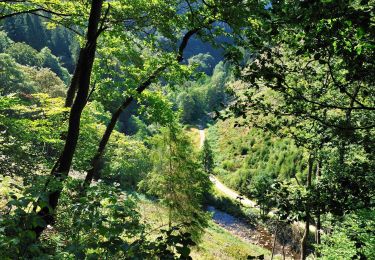 Trail Walking Malmedy - au départ de l'auberge vers Xhoffraix - Photo