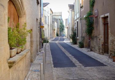 Randonnée Vélo électrique La Réole - La Réole - St Macaire - Photo