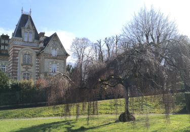 Trail Hybrid bike Bagnoles-de-l'Orne-Normandie - bagnoles de l'ore - Photo