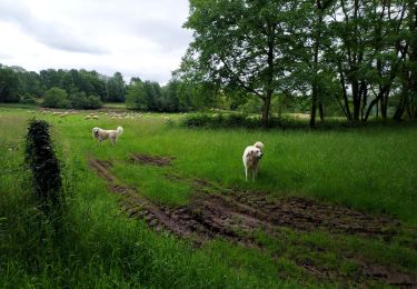Trail Walking Sainte-Colome - Gr78 stcolome-ogeu 2025 - Photo