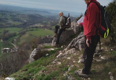 Trail Walking Dullin - 2024 02 22 Dullin Follaton  - Photo