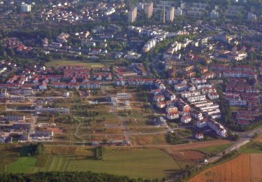 Tocht Te voet Holzgerlingen - Holzweg - Photo