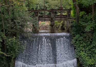 Trail Walking Sebourg - Sebourg les censes de Sebourg en passant le long de la Petite Aunelle - Photo