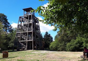 Randonnée A pied Deux-Grosnes - Mont Saint-Rigaud (14 km - D. 447 m) - Photo