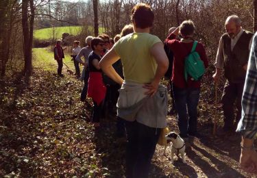 Trail Walking Chimay - Lompret 2019 -3 - 21 - Photo