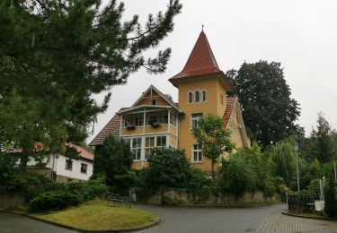 Randonnée A pied Quedlinburg - Forstbotanischer Wanderweg Gernrode - Photo