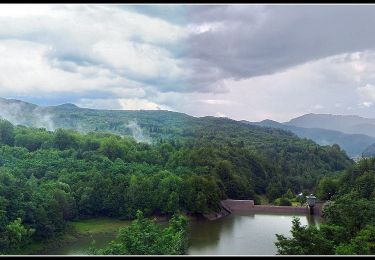 Percorso A piedi Baia Mare - Baraj Firiza - Canalul de apă - Valea Vicleanul Mare - Photo