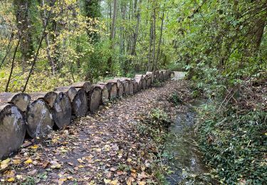 Excursión Senderismo Bierbeek - Bierbeek 23 km 2020 - Photo