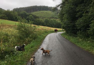Trail Walking Stoumont - Adeps Rahier 2019 - Photo