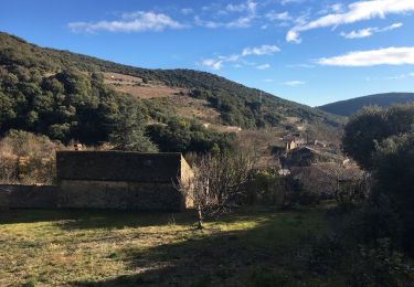 Trail Walking Saint-Jean-de-Minervois - Saint-Martial - Les Conquets - Photo