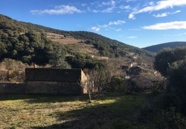 Excursión Senderismo Saint-Jean-de-Minervois - Saint-Martial - Les Conquets - Photo