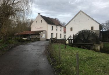 Randonnée Vélo électrique Maaseik - Van Opoeteren naar Maaseik en terug - Photo