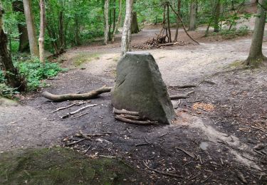 Randonnée Marche Meudon - De Meudon à Igny via foret de Verrrières - Photo