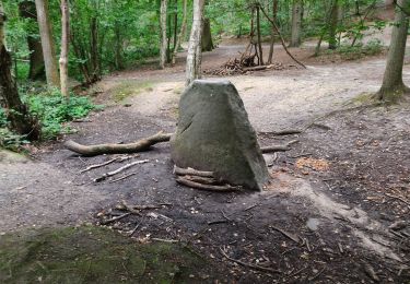 Percorso Marcia Meudon - De Meudon à Igny via foret de Verrrières - Photo