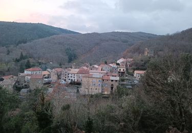 Excursión Senderismo Ferrals-les-Montagnes - ferrals-les-Montagnes- Mont Cayroux  - Photo