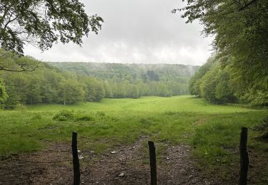 Trail Walking Vallerois-le-Bois - VALLEROIS LE BOIS - LA MAISON DU VAU - VALLEROIS LE BOIS  - Photo