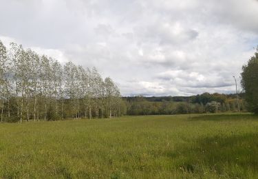 Trail Walking Sprimont - autour du domaine des bruyères  - Photo