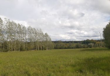 Randonnée Marche Sprimont - autour du domaine des bruyères  - Photo