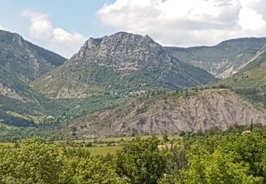 Tour Wandern La Motte-Chalancon - LA MOTTE CHALANCON - LE PLATEAU DE LA CHAU - Photo