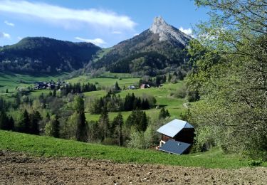 Trail Walking Bellecombe-en-Bauges - mont Julioz - Photo