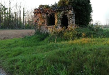 Trail Walking Loriol-sur-Drôme - Château de la Gardette  - Photo