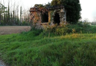 Excursión Senderismo Loriol-sur-Drôme - Château de la Gardette  - Photo