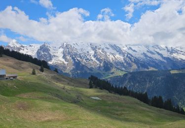 Trail Mountain bike Le Grand-Bornand - Balcon des Aravis - Photo