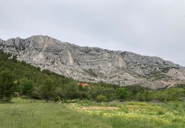 Trail Walking Saint-Antonin-sur-Bayon - Croix de Provence par le Pas de la Savonnette  - Photo
