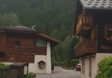 Tour Wandern Chamonix-Mont-Blanc - les Tines à Chamonix le long de l'Arve - Photo