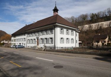Randonnée A pied Känerkinden - Känerkinden - Gisiberg - Photo