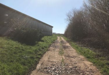 Tour Reiten Fougerolles-Saint-Valbert - 1hBalade sarcenot poney en main  - Photo