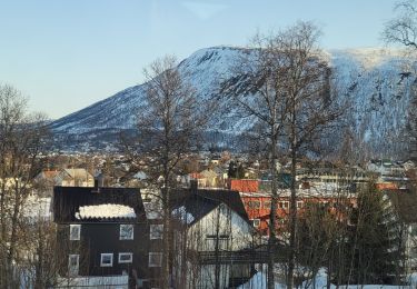 Percorso Marcia  - tromso_1 - Photo