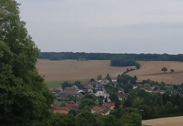 Trail Walking Vauchassis - Vauchassis - Photo