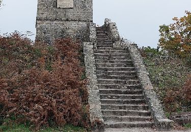 Trail Walking Fontainebleau -  Toulouse - Photo