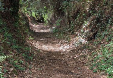 Trail Walking Pont-Aven - Pont Aven - Port Manec'h  - Photo