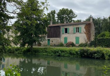 Excursión Senderismo Coulon - Magné/Coulon - Sèvre et légendes - Photo