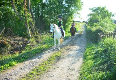 Percorso A piedi Somerset West and Taunton - Herepath Trail - Castle Neroche - Photo