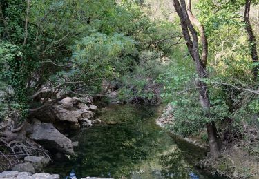 Tour Wandern Auriol - Les Encanaux, Auriol-05-06-24 - Photo