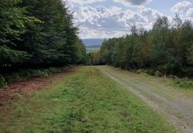 Tour Wandern Stoumont - stoumont - Photo
