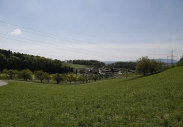 Percorso A piedi Embrach - Embrach Oberdorf - Tössegg Schiffsteg - Photo