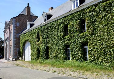Tour Wandern Hannut - La balade des chevées (5km) - Photo