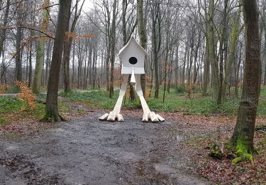 Trail Walking Houppeville - foret monumental - Photo