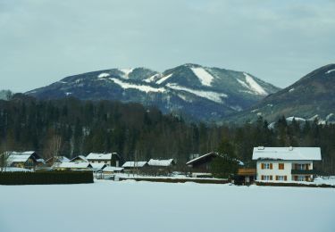 Tocht Te voet Bad Ischl - Wanderweg 4 Hoferriedlweg - Photo