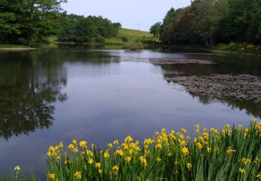 Trail Walking Saint-Nabord - mp st Nabord 2022 - Photo