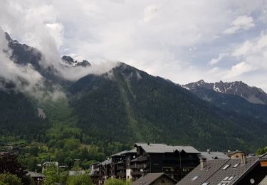 Trail Walking Chamonix-Mont-Blanc - Chamonix La Cascade du dard  - Photo