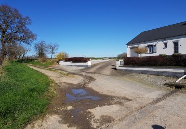 Tocht Stappen Thuin - Gozée à travers champs - Photo