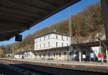 Percorso A piedi Eichstätt - Rundwanderweg Eichstätt Nr. 1 - Photo