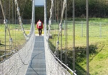 Tocht Stappen Sainte-Eulalie-en-Royans - Sainte Eulalie  - Photo