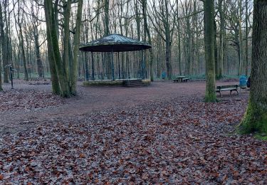 Percorso Marcia Charleroi - bois du cazier seniors 2025 - Photo