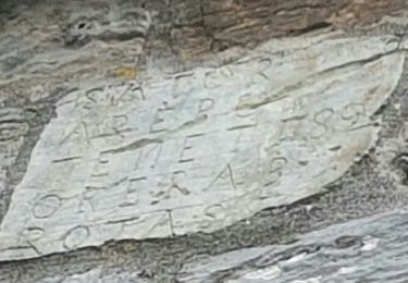 Percorso A piedi Bièvre - Marche Adeps de 5 km à Naomé - Photo